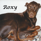 Roxy Lubowski 2006-2015